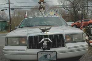 cow car