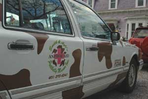 cow car