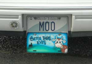 cow car